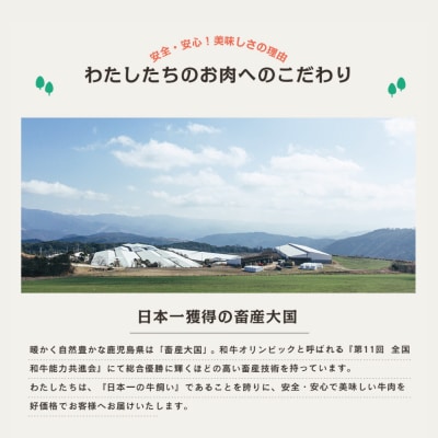 鹿児島県産黒毛和牛「薩摩牛 極」スライス3種食べ比べ 300g