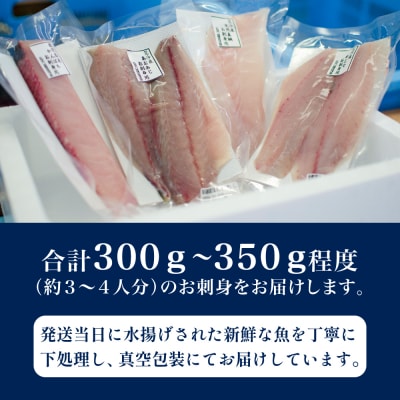 ★3月お届け★【漁師厳選】朝獲れ鮮魚のお刺身詰め合わせ(4種) 冷蔵 鮮魚 生食用