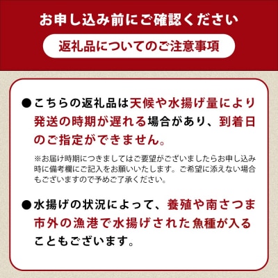 ★3月お届け★【漁師厳選】朝獲れ鮮魚のお刺身詰め合わせ(4種) 冷蔵 鮮魚 生食用