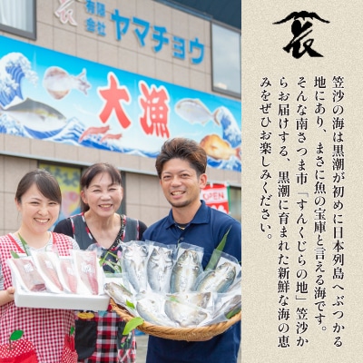 【漁師厳選】朝獲れ鮮魚のお刺身詰め合わせ(4種) 冷蔵 鮮魚 生食用