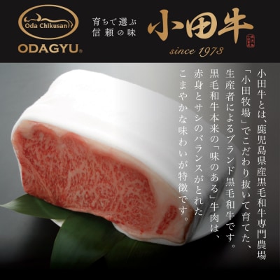 【プレミアムブランド】鹿児島県産黒毛和牛「小田牛」 牛肉100%点心セット(餃子・焼売)