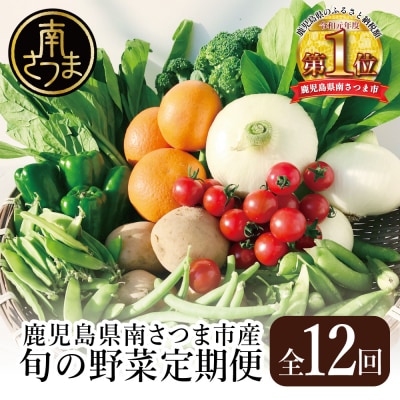 【かごしま野菜定期便(全12回)】旬鮮野菜と果物のセット(12～14品目) | ふるさと納税のお礼品