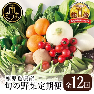 【かごしま野菜定期便(全12回)】旬鮮野菜と果物のセット(12～14品目)