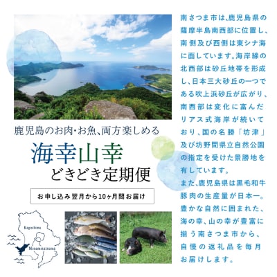 【定期便】海幸山幸どきどき定期便(全10回)