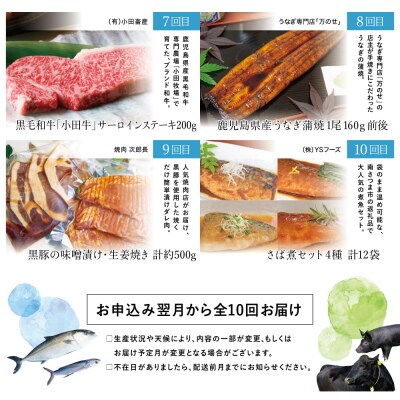 【定期便】海幸山幸どきどき定期便(全10回)