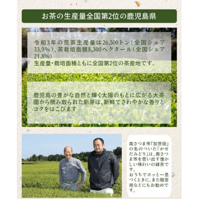 【お歳暮ギフト】鹿児島県産緑茶 かせだみどり(80g×5袋)