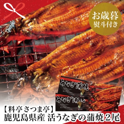 【お歳暮ギフト】鹿児島県産 活うなぎの蒲焼2尾 うなぎ ウナギ かば焼