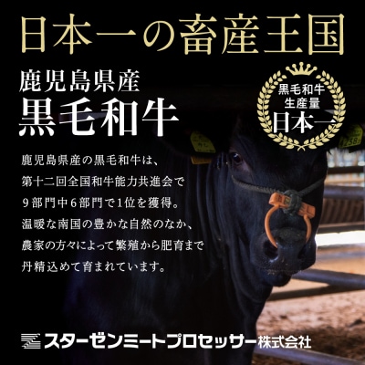 【定期便】◆人気の返礼品を3回お届け◆ 鹿児島県産 黒毛和牛 赤身ももスライス 1.2kg×3回