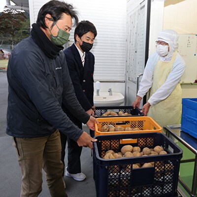 【栽培期間中 無農薬・無化学肥料】訳あり  じゃがいも 約9kg