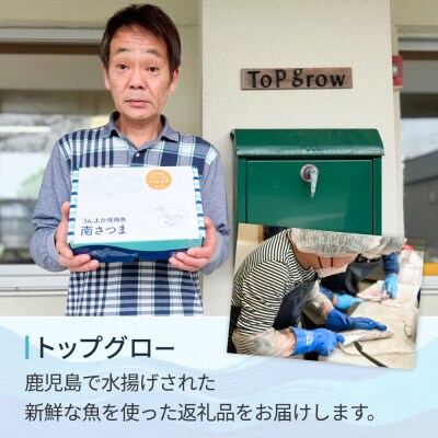 【鹿児島県産】坊のつけあげ(さつま揚げ)3種 計36個 上棒天 野菜天 すり身 練り物 南さつま市