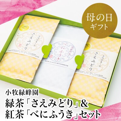 【母の日ギフト】【日本茶AWARD受賞】鹿児島緑茶と紅茶のセット(計250g)