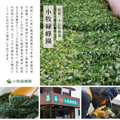 【母の日ギフト】【日本茶AWARD受賞】鹿児島緑茶と紅茶のセット(計250g)