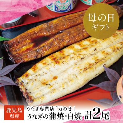 【母の日ギフト】鹿児島県産鰻 蒲焼・白焼きセット 計2尾 うなぎ専門店「万のせ」
