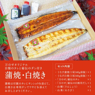 【母の日ギフト】鹿児島県産鰻 蒲焼・白焼きセット 計2尾 うなぎ専門店「万のせ」