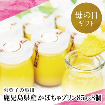 【母の日ギフト】鹿児島県産 かぼちゃプリン 85g×8個 お菓子の染川 洋菓子 パンプキン スイーツ
