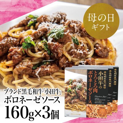 【母の日ギフト】鹿児島県産黒毛和牛「小田牛」 ボロネーゼソース 3食(160g×3)