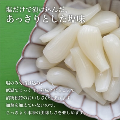 【鹿児島県産】白宝らっきょうの塩漬け 900g×2P