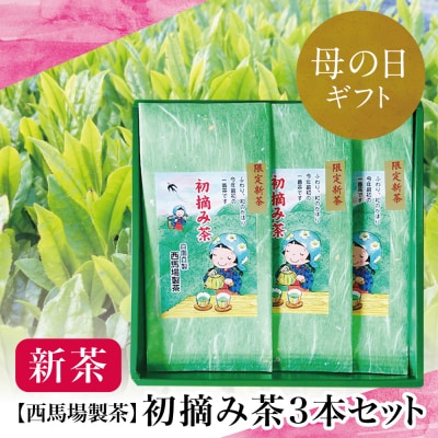 【母の日ギフト】 <2025年産 新茶>西馬場製茶 初摘み茶3本セット