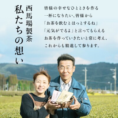 【母の日ギフト】 <2025年産 新茶>西馬場製茶 初摘み茶3本セット