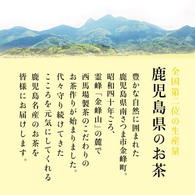 【母の日ギフト】 <2025年産 新茶>西馬場製茶 初摘み茶3本セット