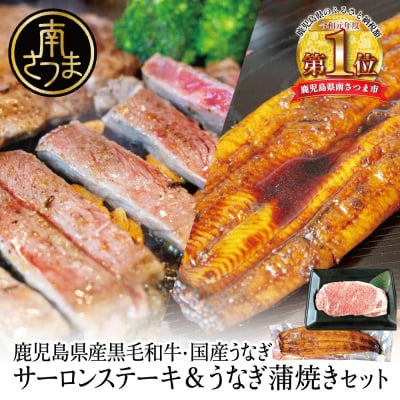 鹿児島県産黒毛和牛サーロインステーキ&国産うなぎ蒲焼き スタミナセット(同梱発送)