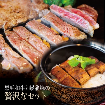 鹿児島県産黒毛和牛サーロインステーキ&国産うなぎ蒲焼き スタミナセット(同梱発送)
