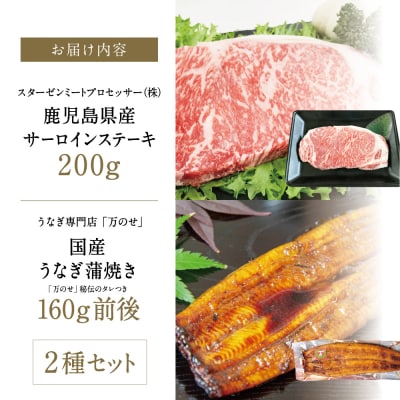 鹿児島県産黒毛和牛サーロインステーキ&国産うなぎ蒲焼き スタミナセット(同梱発送)