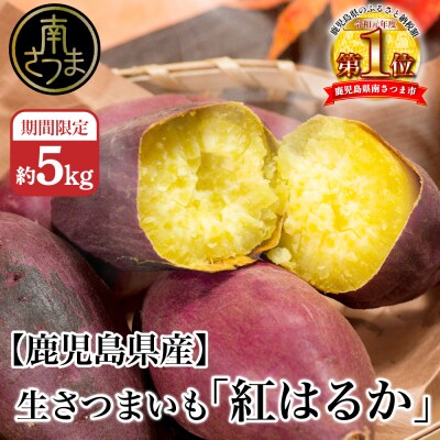 【鹿児島県産】生さつまいも 「紅はるか」約5kg