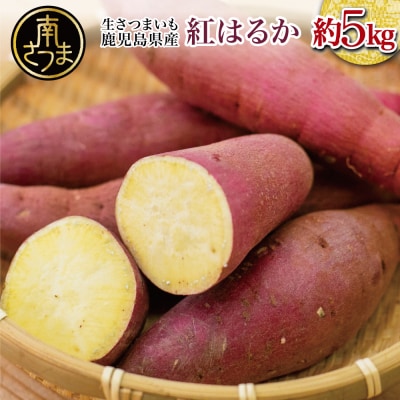 ★12月発送開始★ 鹿児島県産生さつまいも 「紅はるか」約5kg JA 南さつま