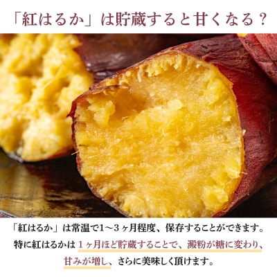 ★12月発送開始★ 鹿児島県産生さつまいも 「紅はるか」約5kg JA 南さつま