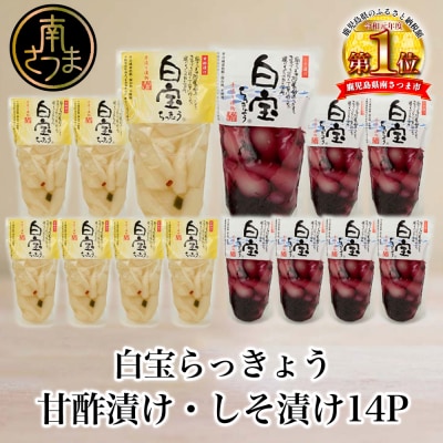 【鹿児島県産】白宝らっきょう 14P(甘酢漬け×7P・しそ漬け7P)