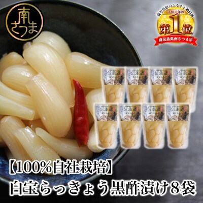 【鹿児島県産】〈プレミアム〉伝承蔵～白宝らっきょう黒酢漬け～(90g×8P)