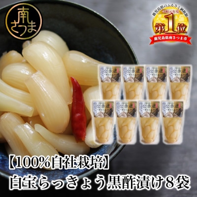 【鹿児島県産】〈プレミアム〉伝承蔵～白宝らっきょう黒酢漬け～(90g×8P)