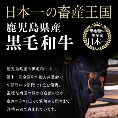 【訳あり】50セット限定! 鹿児島県産黒毛和牛 肩ローススライス600g