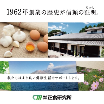 【健康補助食品】にんにくの精(31粒入り×3袋)