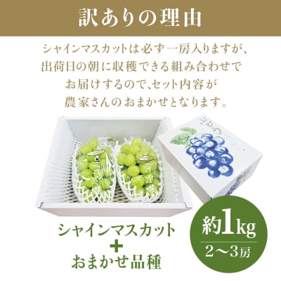 まつじゅんさま専用葡萄の詰合せ 予約販売】高尾とシャインマスカットの詰め合わせ2kg・2~4房【9