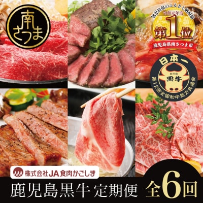 【JA食肉かごしま】鹿児島黒牛定期便(全6回)  黒毛和牛 牛肉 定期便