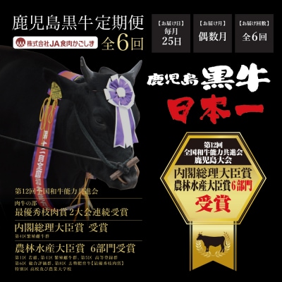 【JA食肉かごしま】鹿児島黒牛定期便(全6回)  黒毛和牛 牛肉 定期便