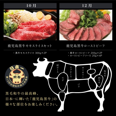 【JA食肉かごしま】鹿児島黒牛定期便(全6回)  黒毛和牛 牛肉 定期便