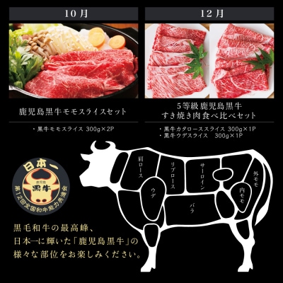 【JA食肉かごしま】鹿児島黒牛定期便(全6回)  黒毛和牛 牛肉 定期便
