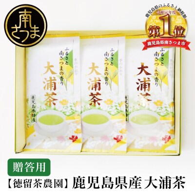 【贈答用】 鹿児島県産緑茶 大浦茶 一番茶3本セット 計300g(100g×3) 