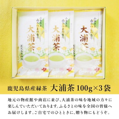 【贈答用】 鹿児島県産緑茶 大浦茶 一番茶3本セット 計300g(100g×3) 