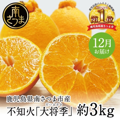 【2026年12月発送】不知火「大将季」(だいまさき)約3kg 果物 フルーツ 柑橘