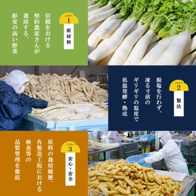 【九州産野菜使用】水溜食品 西郷どんのお漬物詰め合わせ 計17袋