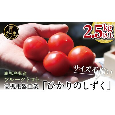 【鹿児島県産】フルーツトマト「ひかりのしずく」 2.5kg以上 ★11月初旬発送開始★