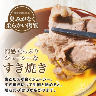 【鹿児島県南さつま産ジビエ】 猪(いのしし)肉 すき焼き・カレー用 計750g(250g×3)