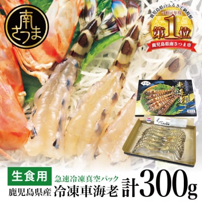 【鹿児島県産】活〆 冷凍車海老 300g(生食用)