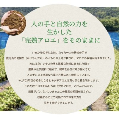 【健康習慣】アロエ健美減秘茶 「ハーブ・サラダ」60包×2袋