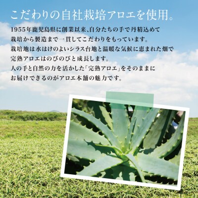 【健康習慣】アロエ健美茶 「ハーブ・サラダ」60包×2袋