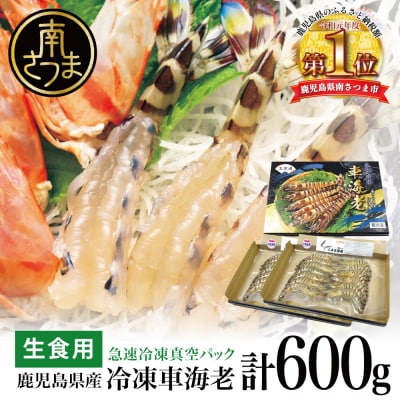 【鹿児島県産】活〆 冷凍車海老 計600g(生食)